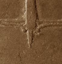 revIV pivot