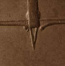 revVIII Pivot