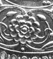 normal lotus