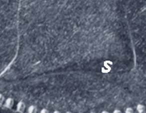 S Initial