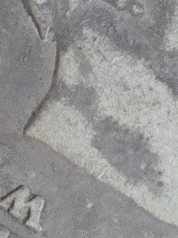 A close up of a coin
Description automatically generated with medium confidence