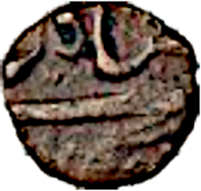 A close-up of a rock

Description automatically generated with medium confidence